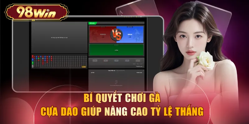 Bí quyết chơi gà cựa dao giúp nâng cao tỷ lệ thắng