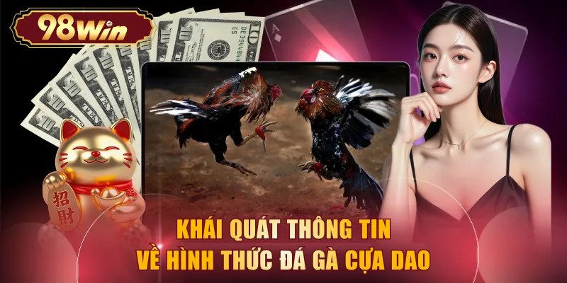Khái quát thông tin về hình thức đá gà cựa dao