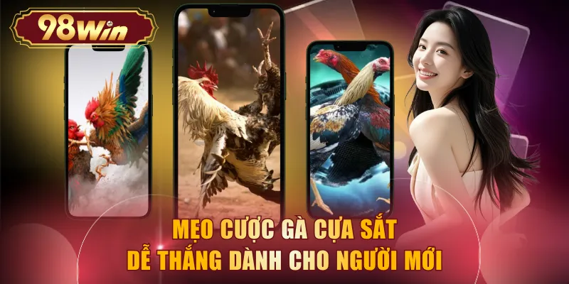 Mẹo cược gà cựa sắt dễ thắng dành cho người mới