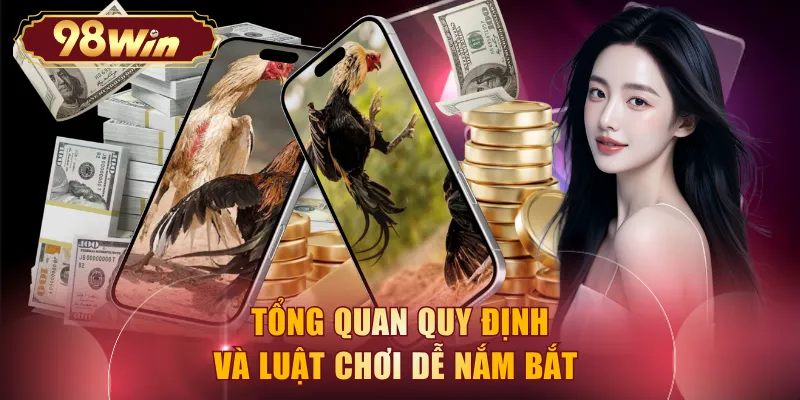 Tổng quan quy định và luật chơi dễ nắm bắt 